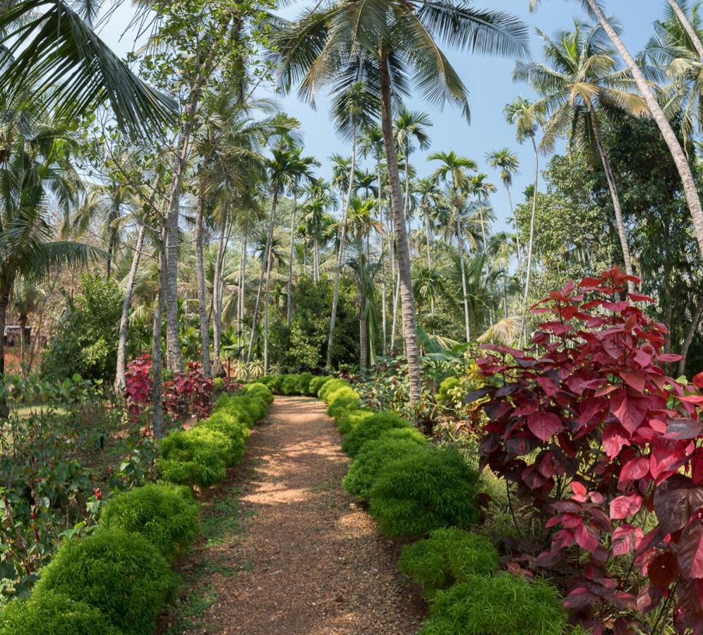 Kahani Paradise Gokarna Kültér fotó